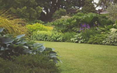 How Your Garden can Improve Home Security