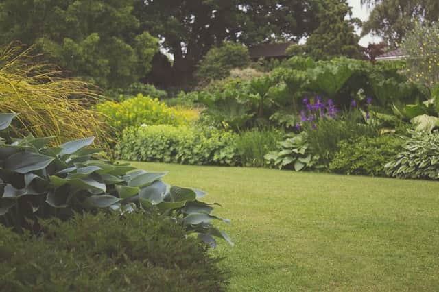 How Your Garden can Improve Home Security