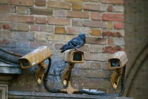 a pigeon sat on top of one of three old security cameras